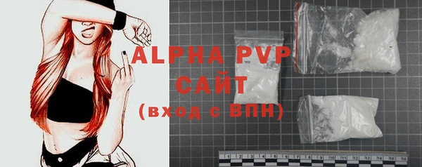 стафф Осташков