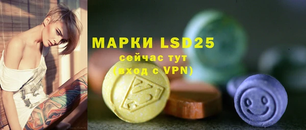 стафф Осташков