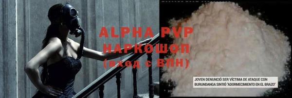 стафф Осташков