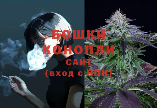 гидропоника Осинники