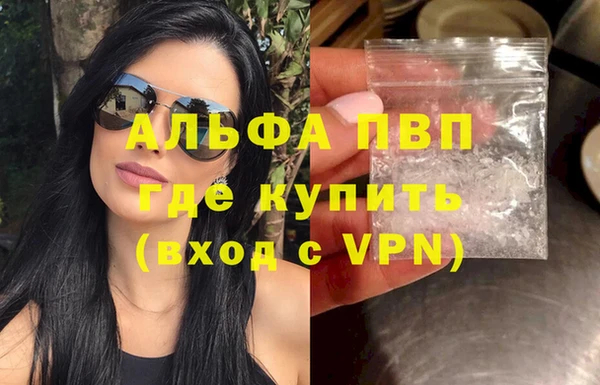 стафф Осташков
