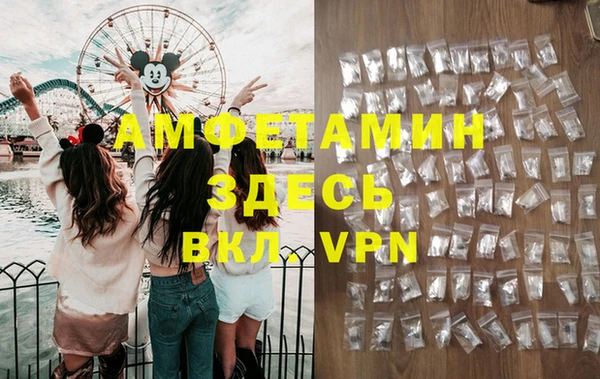 дурь Пересвет