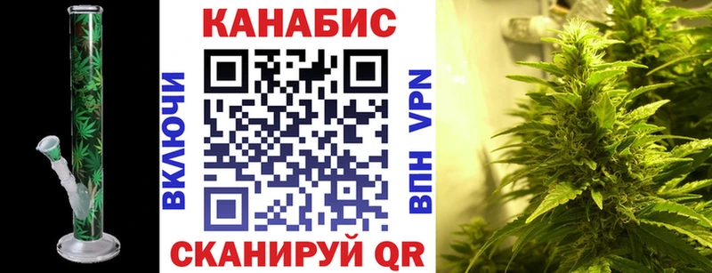 Бошки Шишки планчик  Ардон 